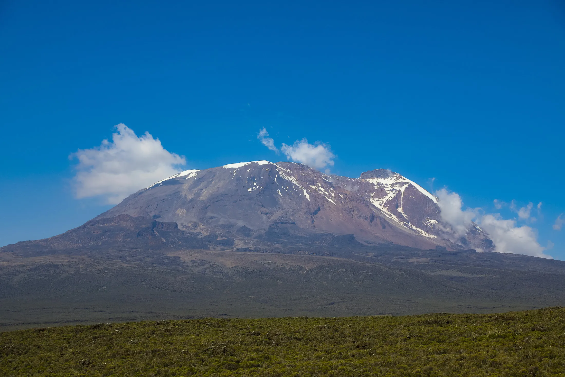 Kilimanjaro View